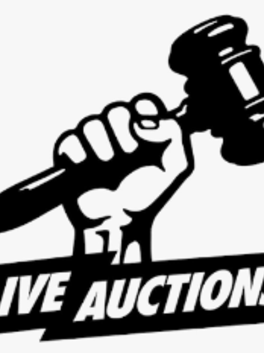 Live Auction Item 24 of 30 various sizes